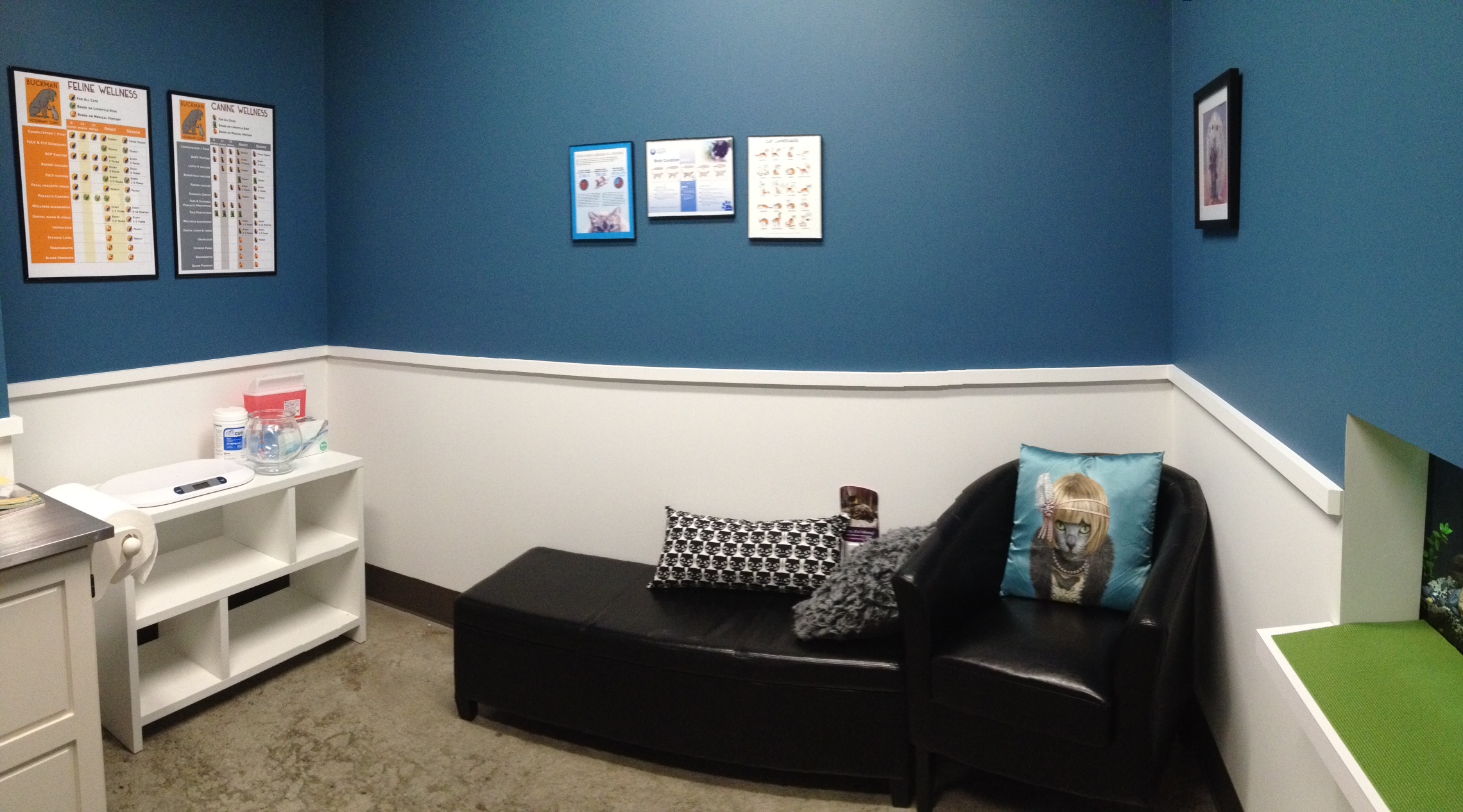 TOUR – Buckman Veterinary Clinic