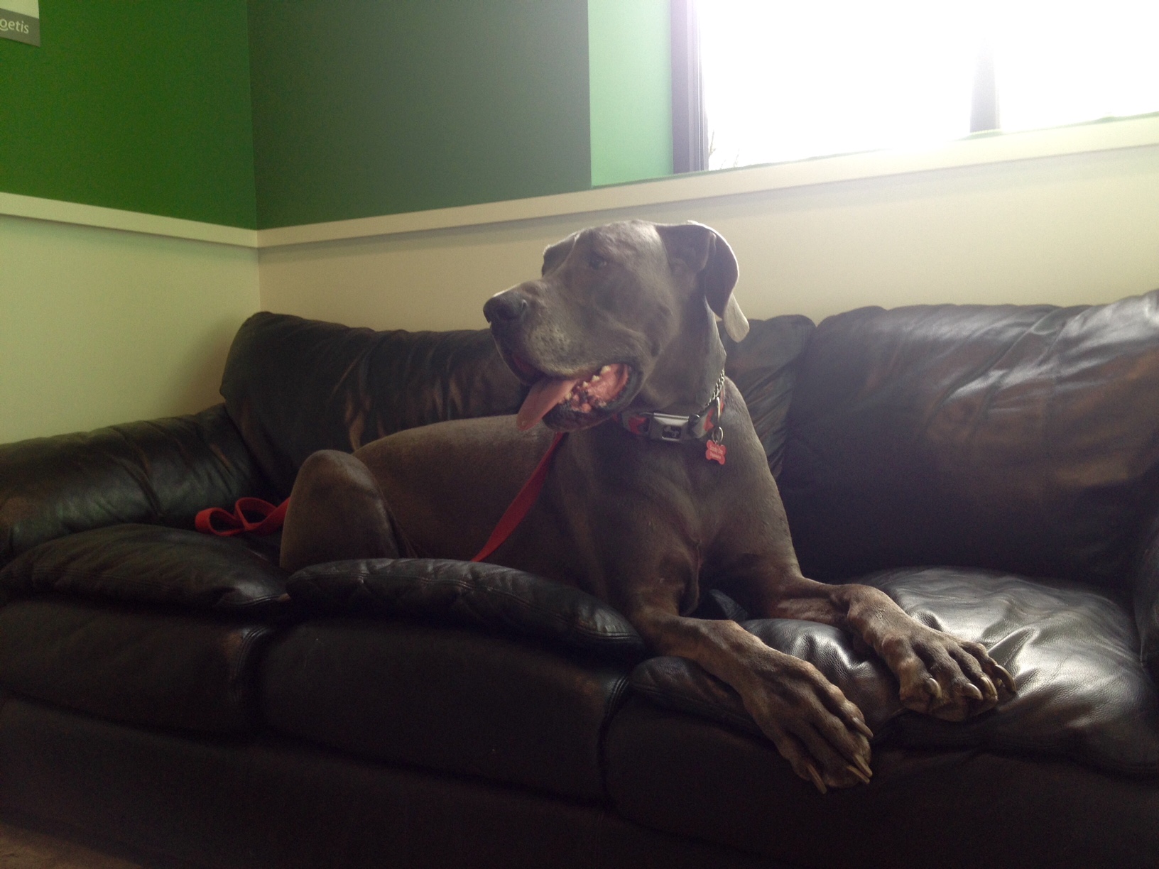 TOUR – Buckman Veterinary Clinic